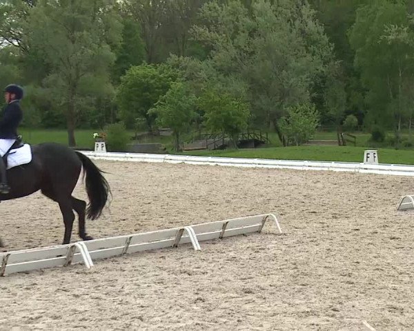 Reitturnier Ansbach/Mfr. 2019