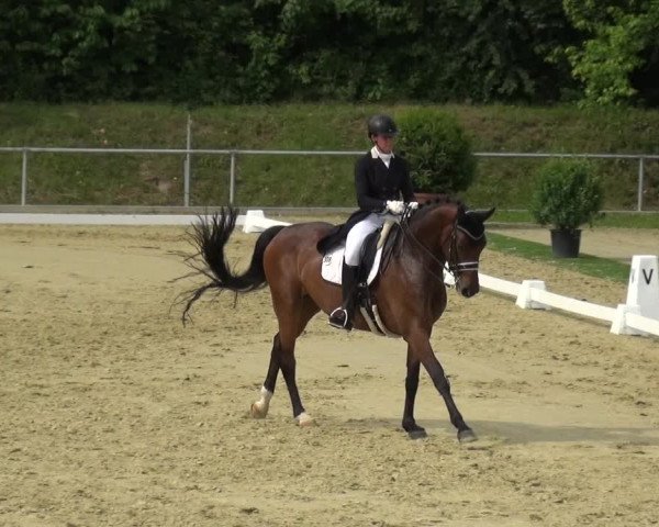 Reitturnier Ladenburg 2019