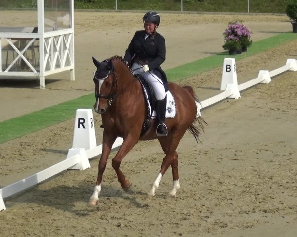 Reitturnier Ladenburg 2019