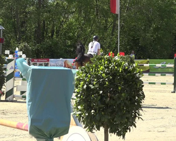 Reitturnier Isny-Rohrdorf 2019