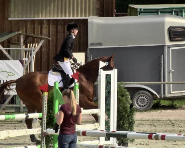 Reitturnier Herxheim 2019