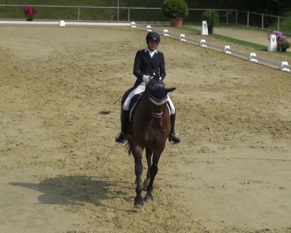 Reitturnier Ladenburg 2019