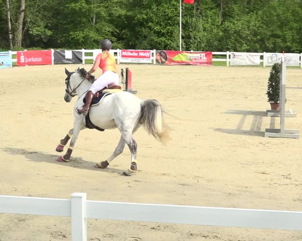 Reitturnier Isny-Rohrdorf 2019