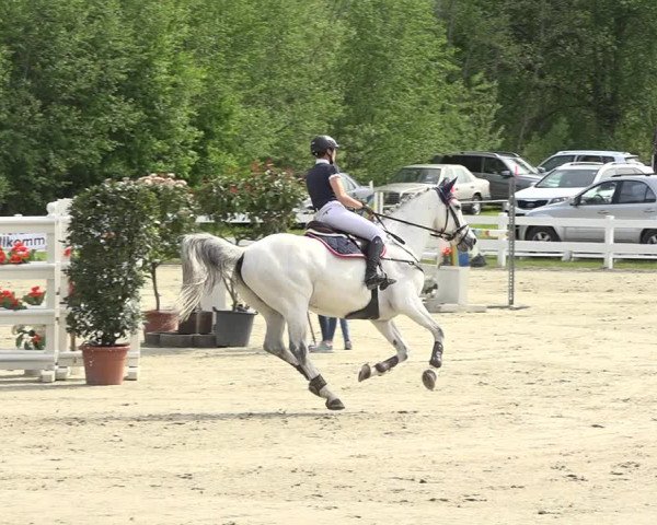 Reitturnier Isny-Rohrdorf 2019