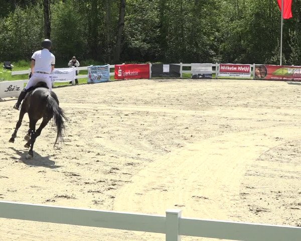 Reitturnier Isny-Rohrdorf 2019
