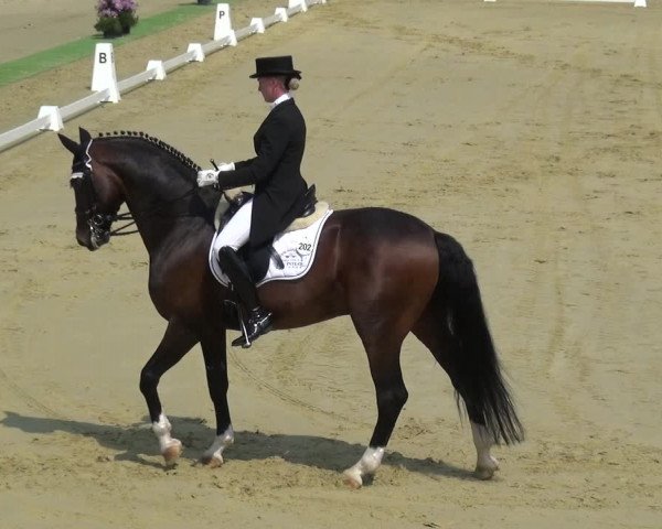 Reitturnier Ladenburg 2019
