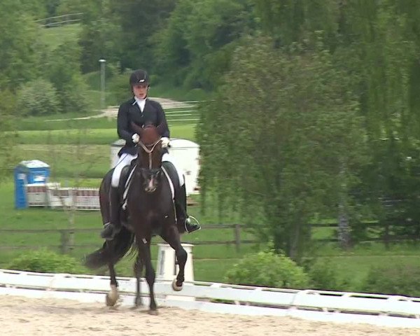 Reitturnier Ansbach/Mfr. 2019