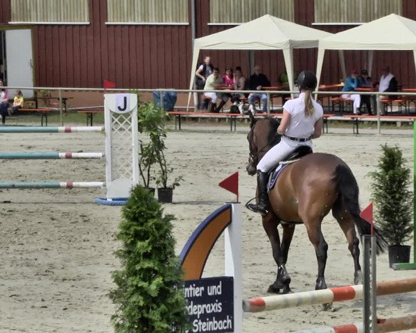 Reitturnier Herxheim 2019