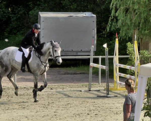 Reitturnier Herxheim 2019
