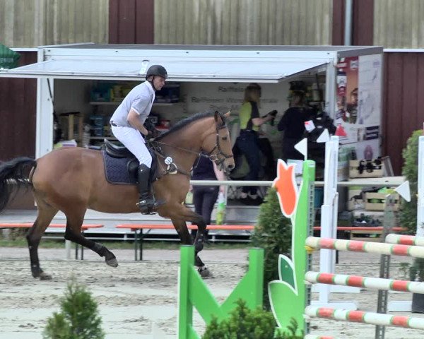 Reitturnier Herxheim 2019