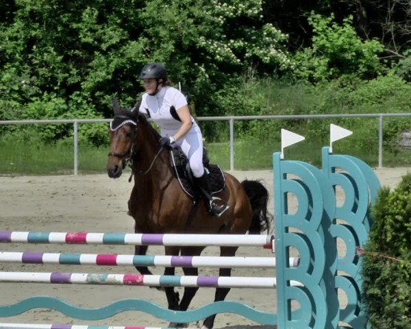 Reitturnier Herxheim 2019