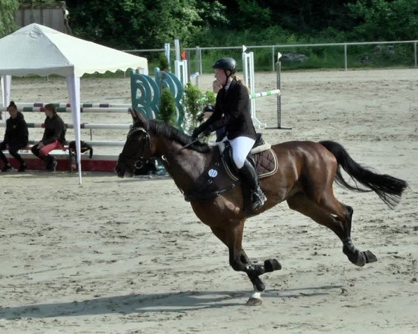 Reitturnier Herxheim 2019