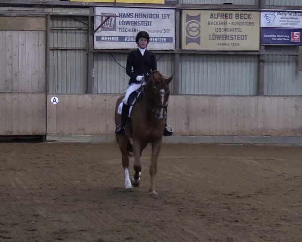 Reitturnier Löwenstedt 2019