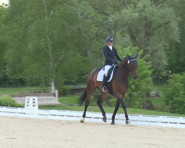 Reitturnier Ansbach/Mfr. 2019