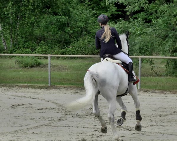Reitturnier Herxheim 2019