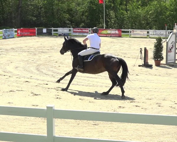Reitturnier Isny-Rohrdorf 2019