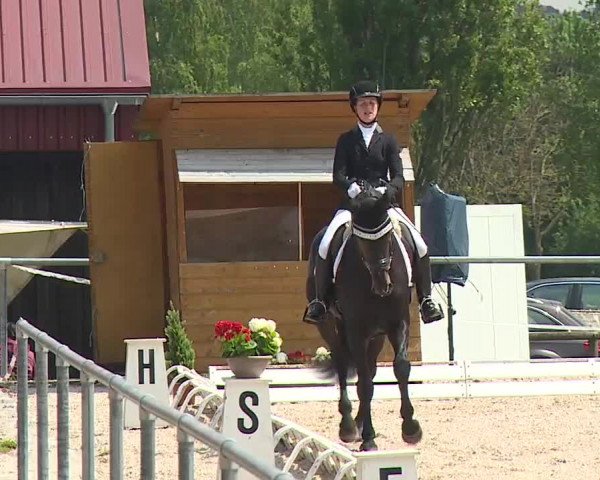 Reitturnier Ansbach/Mfr. 2019
