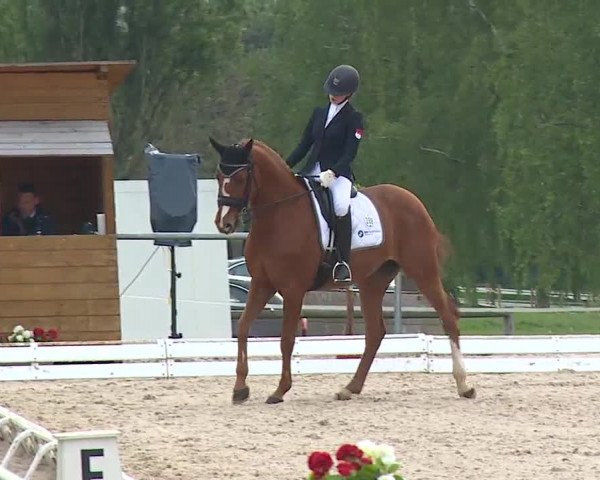 Reitturnier Ansbach/Mfr. 2019