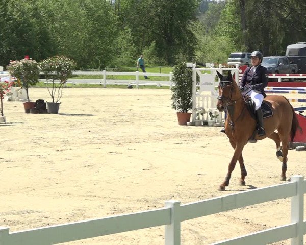 Reitturnier Isny-Rohrdorf 2019