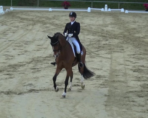 Reitturnier Ladenburg 2019