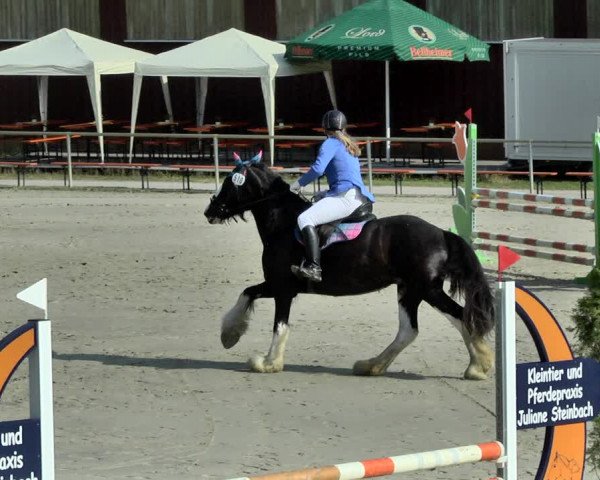 Reitturnier Herxheim 2019