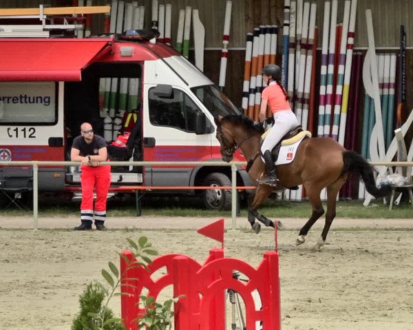 Reitturnier Herxheim 2019