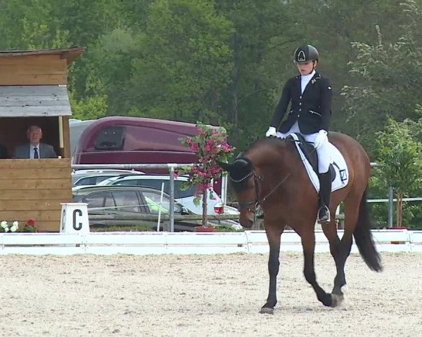 Reitturnier Ansbach/Mfr. 2019