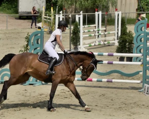 Reitturnier Herxheim 2019