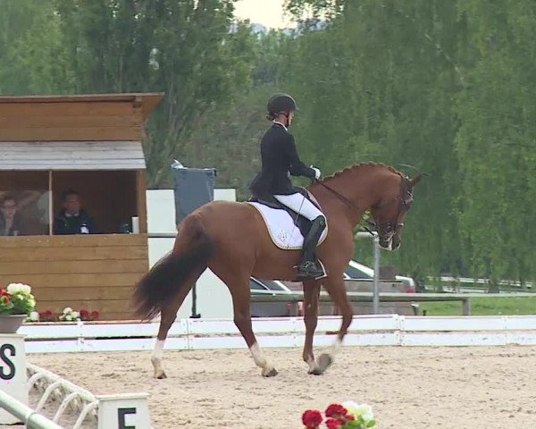 Reitturnier Ansbach/Mfr. 2019