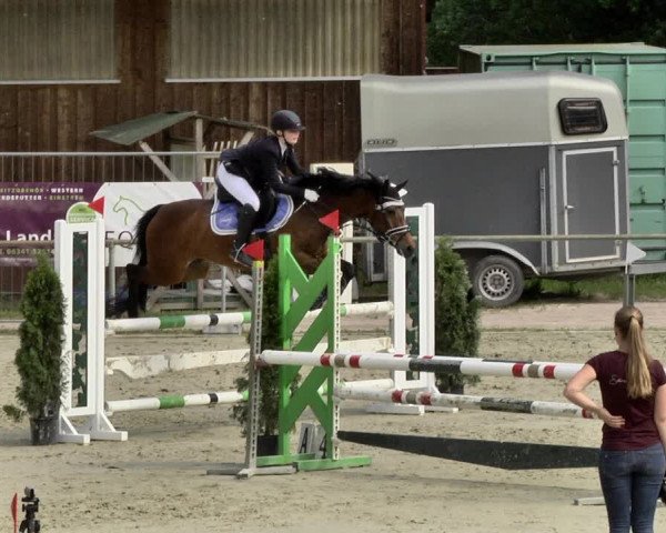 Reitturnier Herxheim 2019