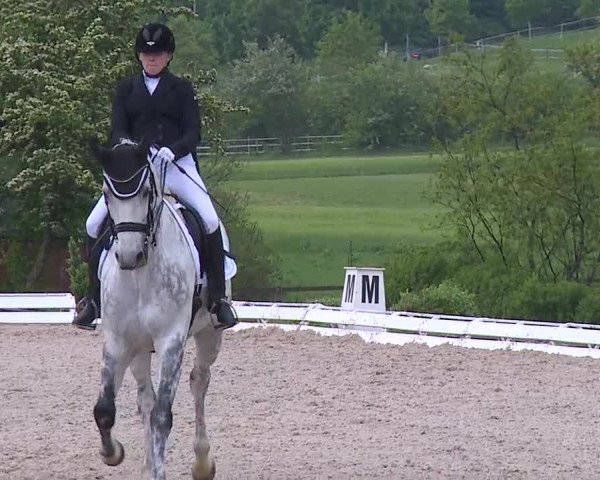 Reitturnier Ansbach/Mfr. 2019