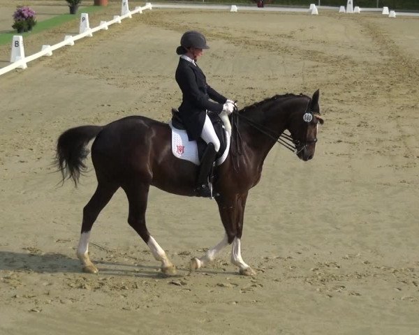 Reitturnier Ladenburg 2019