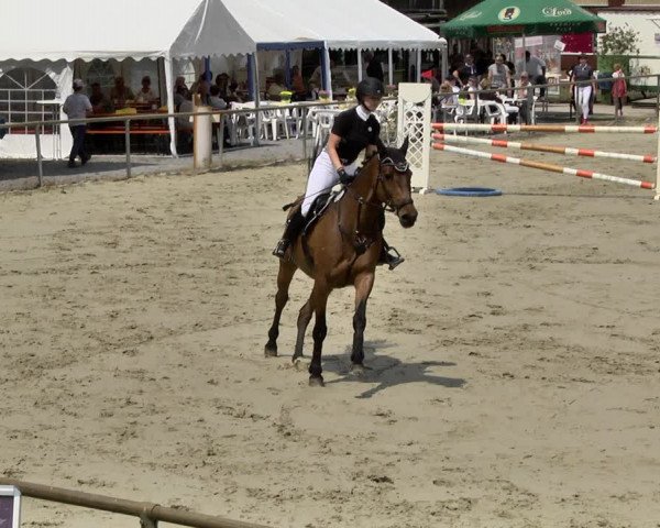 Reitturnier Herxheim 2019