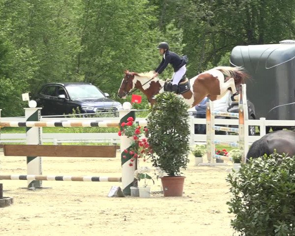 Reitturnier Isny-Rohrdorf 2019