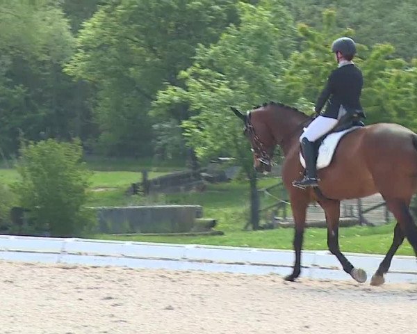 Reitturnier Ansbach/Mfr. 2019