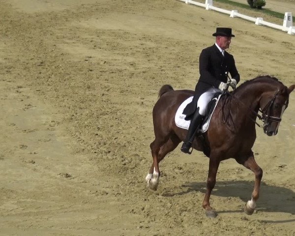 Reitturnier Ladenburg 2019