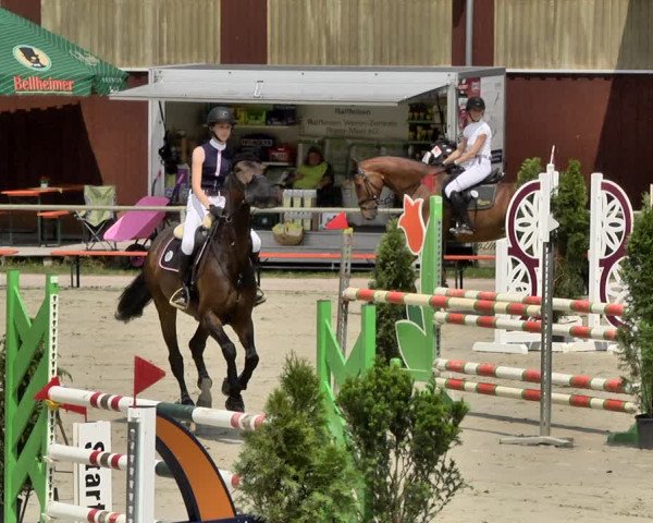 Reitturnier Herxheim 2019