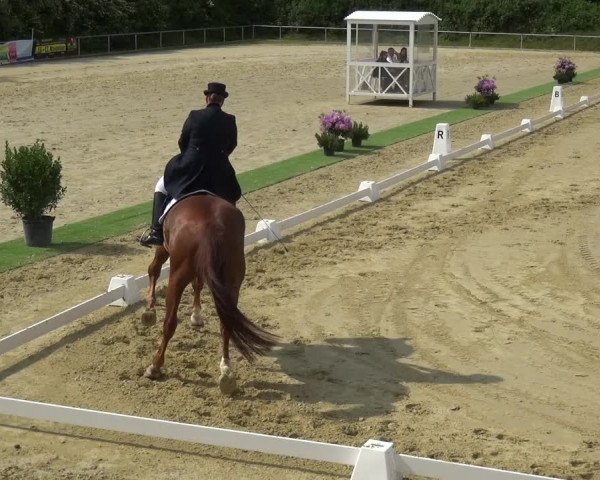 Reitturnier Ladenburg 2019