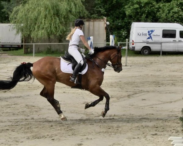Reitturnier Herxheim 2019