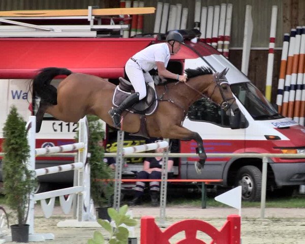 Reitturnier Herxheim 2019