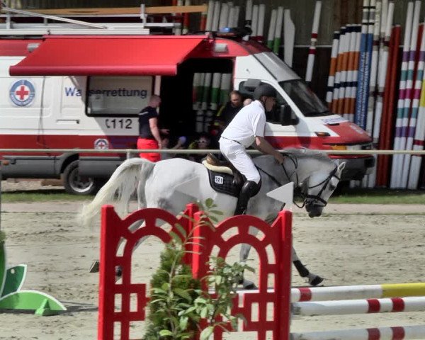 Reitturnier Herxheim 2019