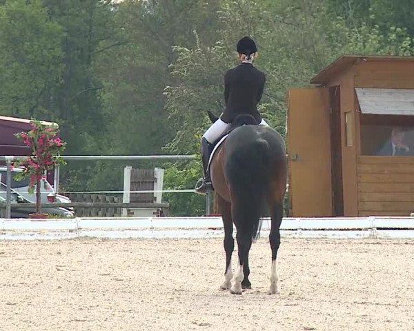 Reitturnier Ansbach/Mfr. 2019