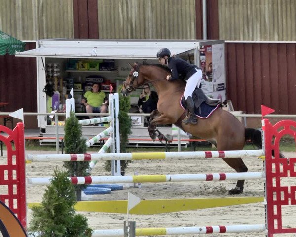 Reitturnier Herxheim 2019