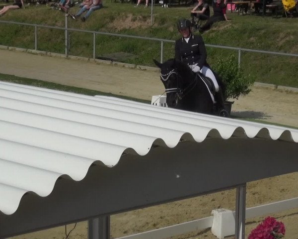 Reitturnier Ladenburg 2019
