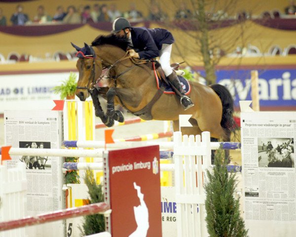 jumper van Schijndel ’s Now Or Never (KWPN (Royal Dutch Sporthorse), 1991, from Burggraaf)