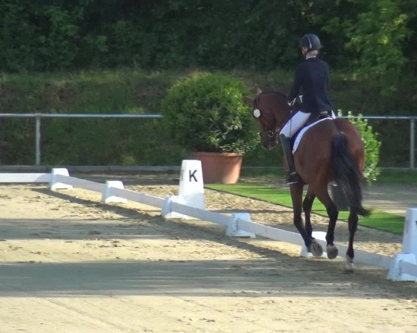 Reitturnier Ladenburg 2019