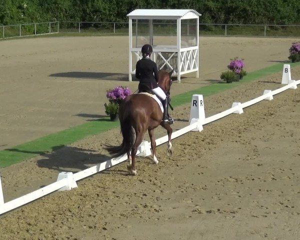 Reitturnier Ladenburg 2019