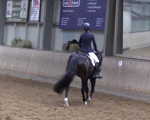 Reitturnier Löwenstedt 2019