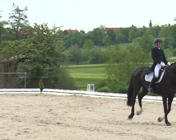 Reitturnier Ansbach/Mfr. 2019