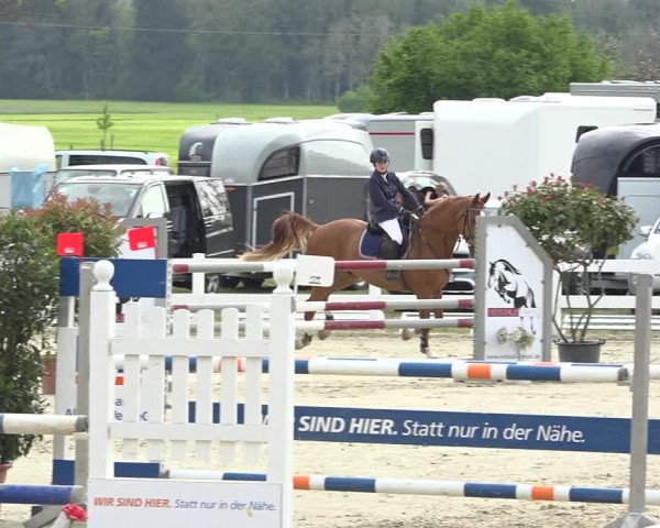 Reitturnier Isny-Rohrdorf 2019